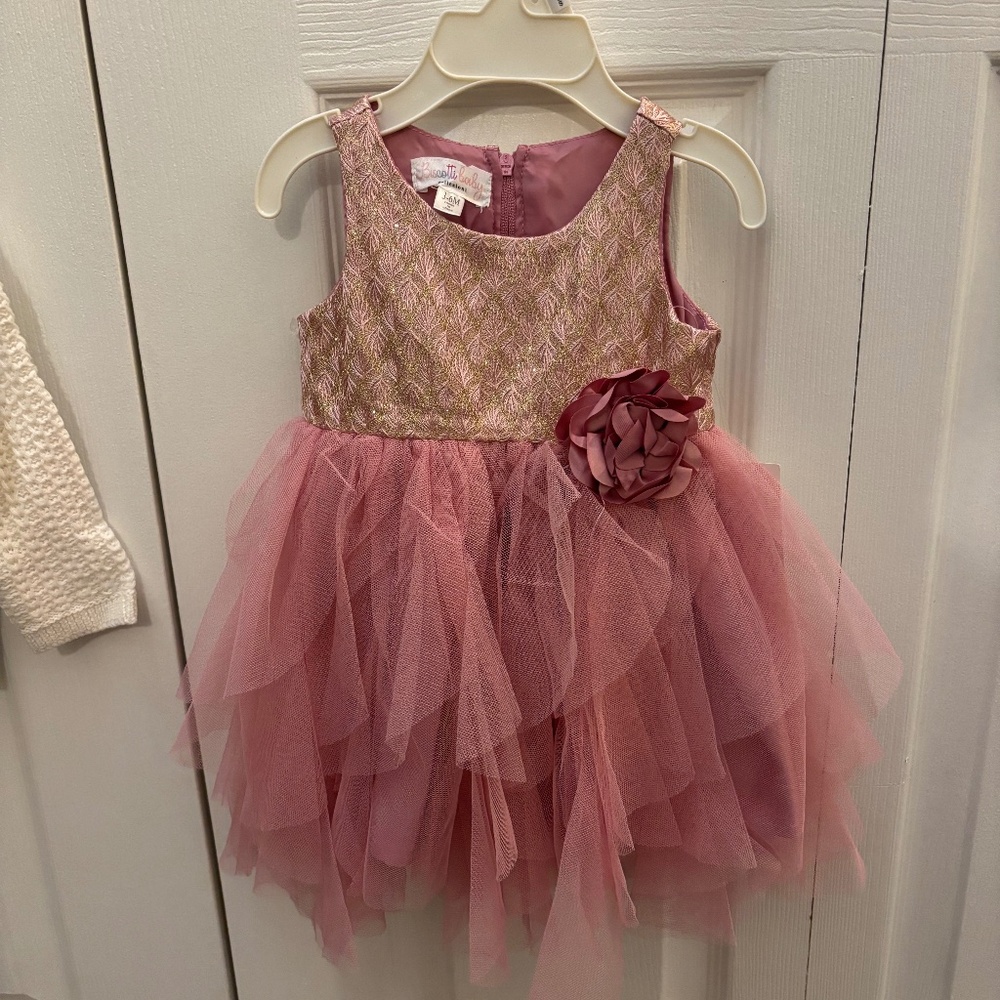 Biscotti Baby Girl’s Pink Tulle Dress 6mo